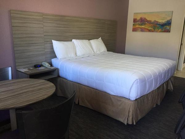 1 King Bed Nonsmoking Photo 1